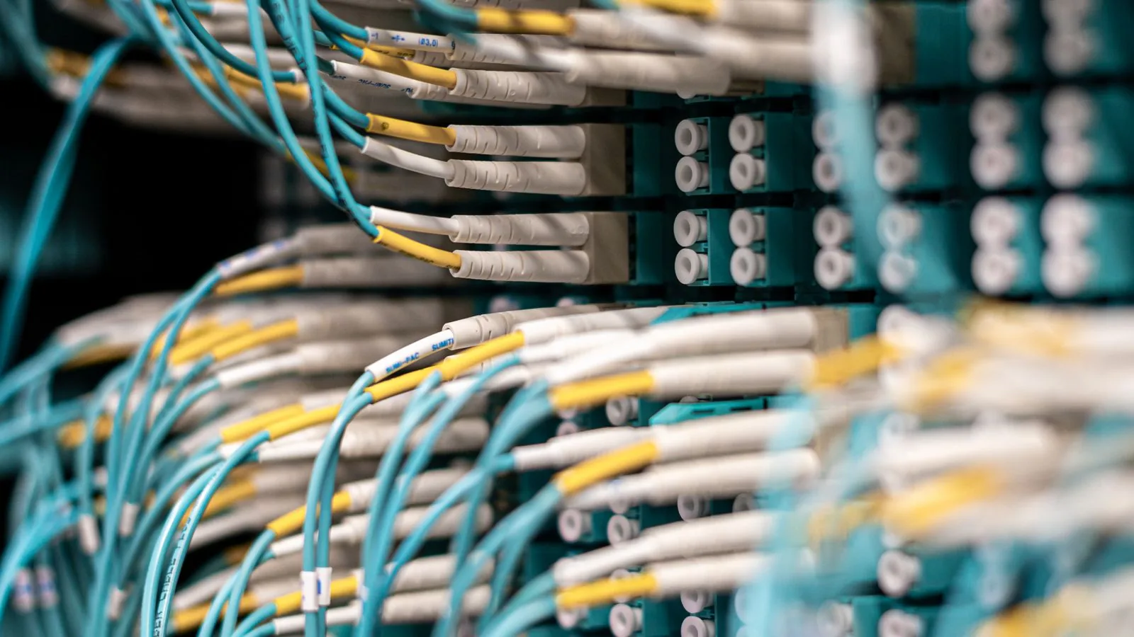 Cables de red conectados a un servidor