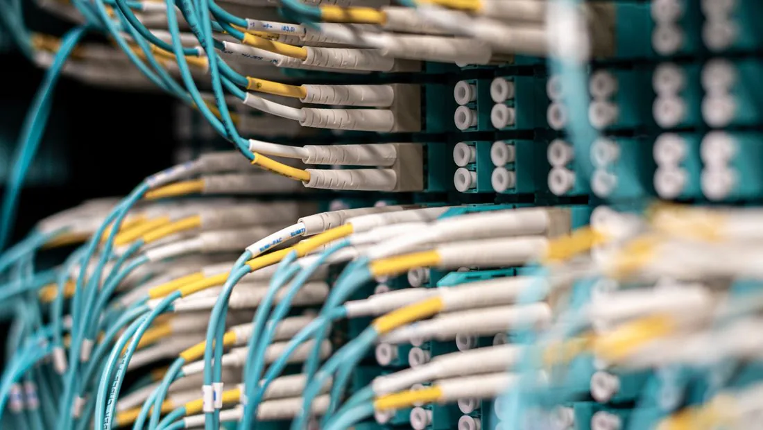 Cables de red conectados a un servidor